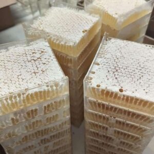 Honey Comb 500g